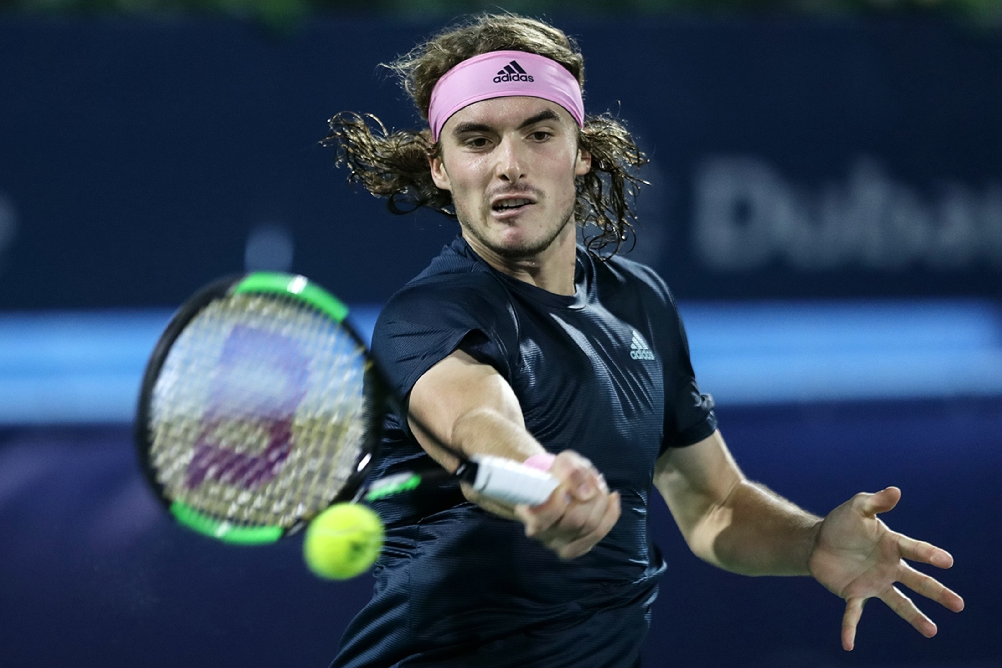 也迅速分化 也迅速分化